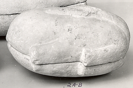 Mummified goose case